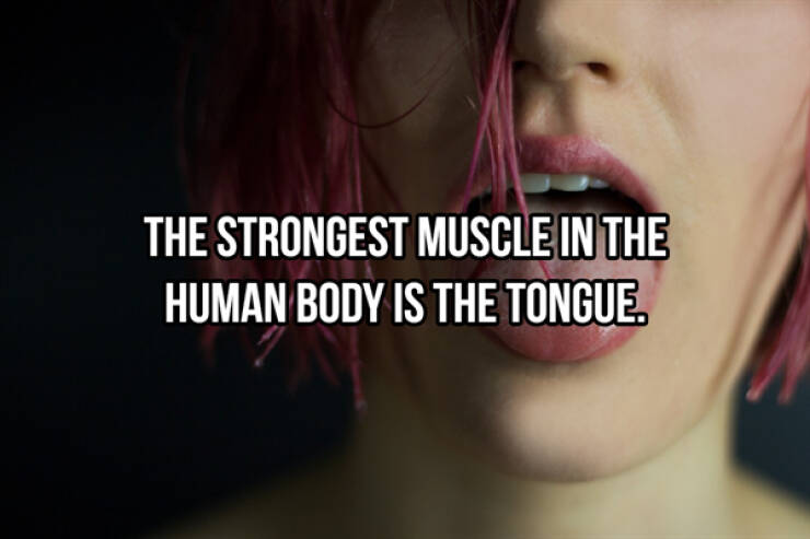 Our Bodies Are Insanely Cool!