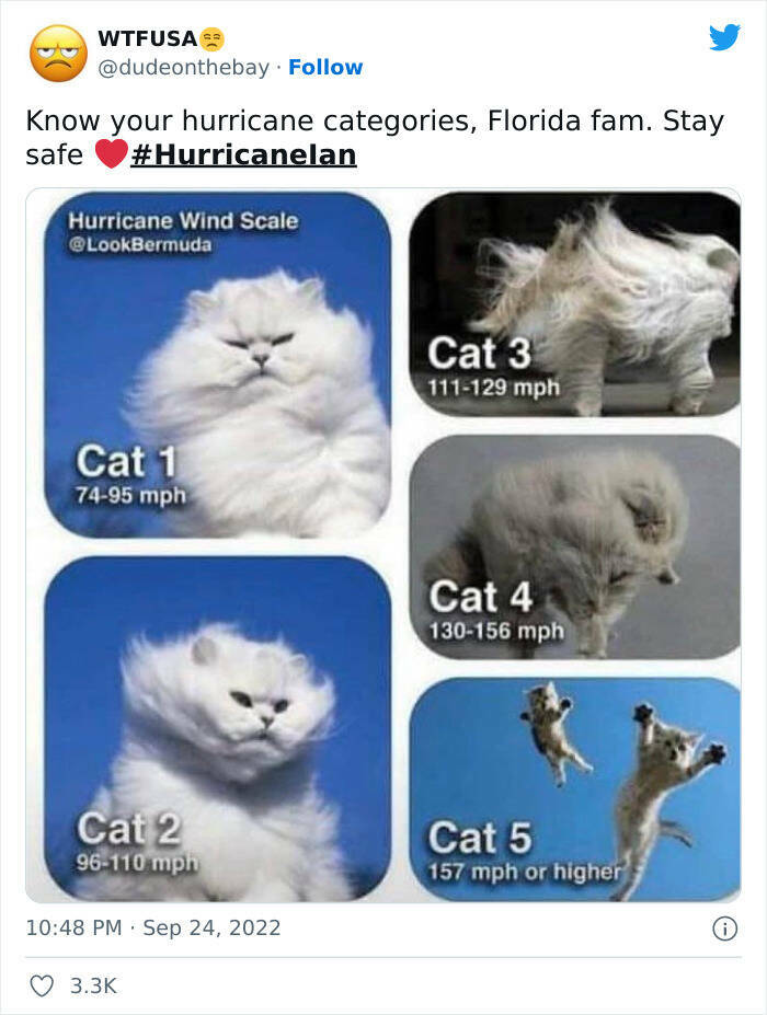 Stormy Memes About Hurricane Ian