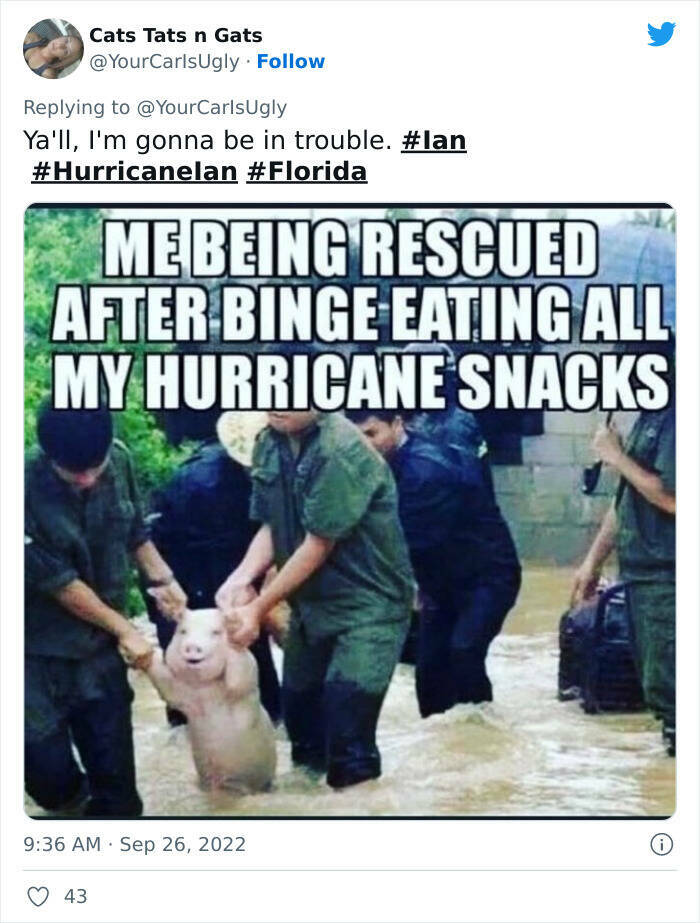 Stormy Memes About Hurricane Ian