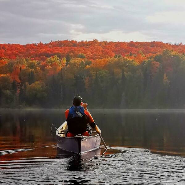 Meanwhile, In Canada…