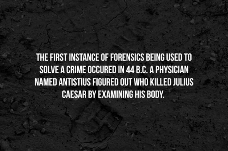 The Mysterious World Of Forensics