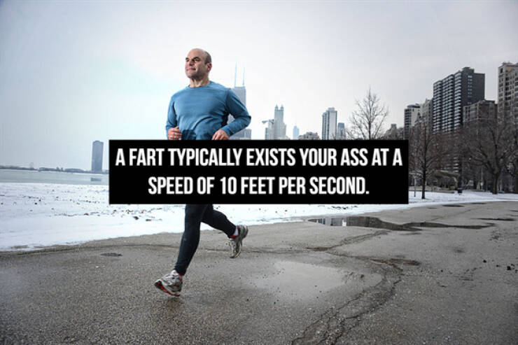 Stinky Fart Facts