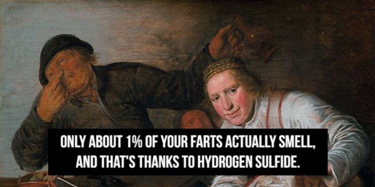 Stinky Fart Facts