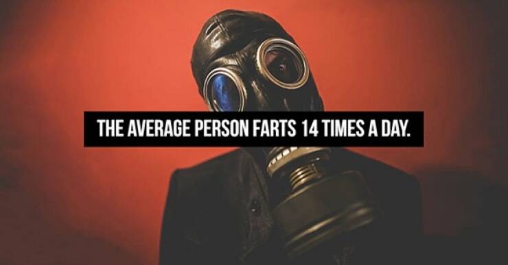 Stinky Fart Facts