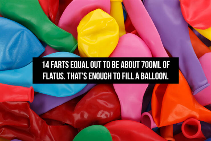 Stinky Fart Facts