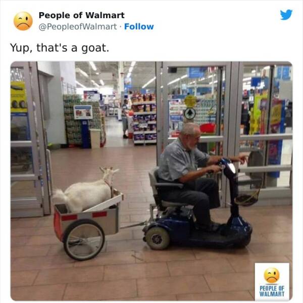 Weird People Of “Walmart”