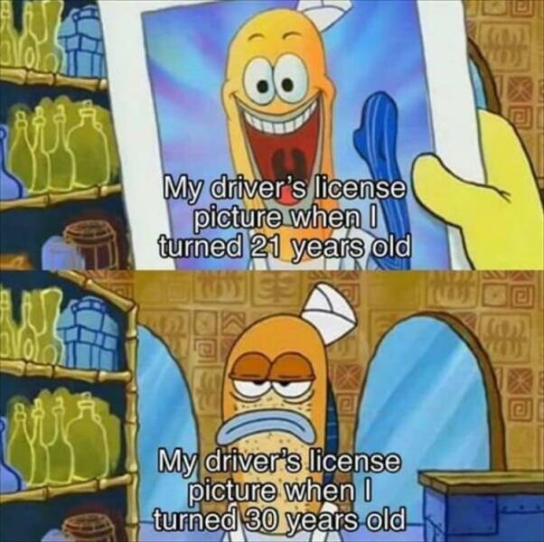 Funny Picdump