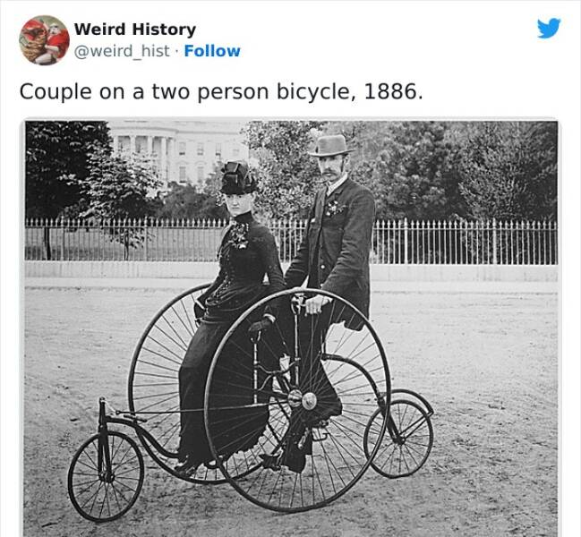 History Is Weird… History Is Weird…