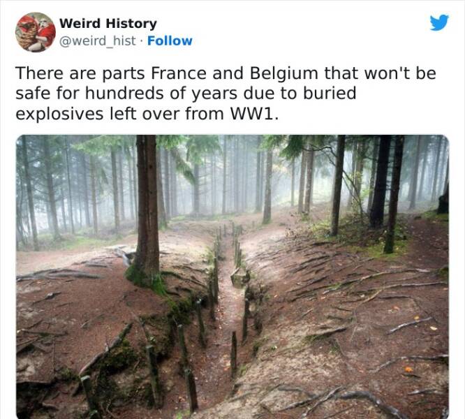 History Is Weird… History Is Weird…