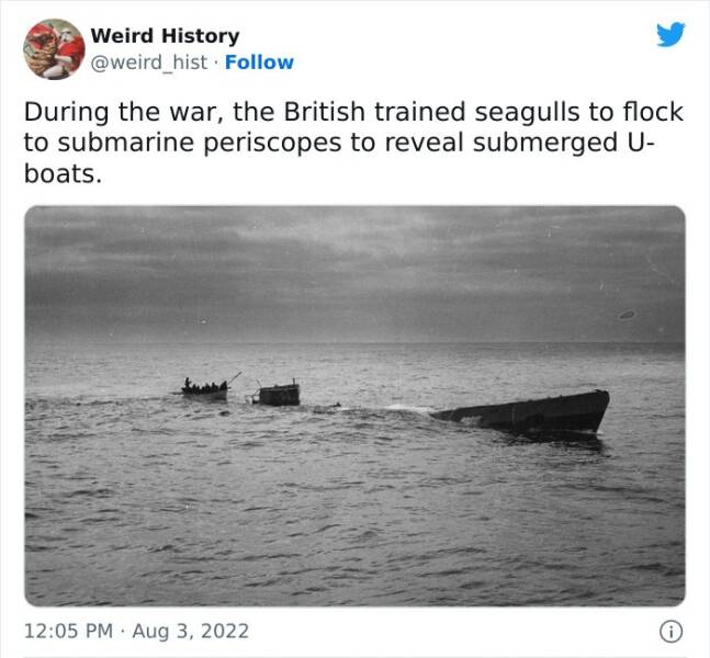 History Is Weird… History Is Weird…