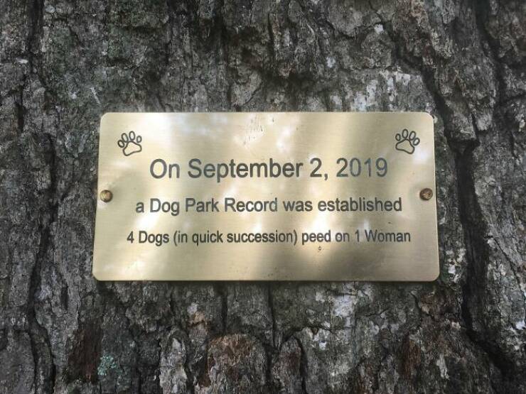 Okay, These Signs Are Pretty Good!