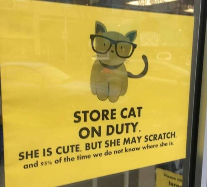 Okay, These Signs Are Pretty Good!