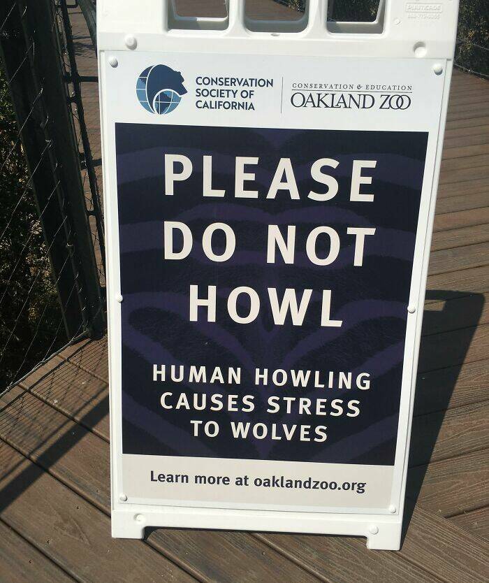Okay, These Signs Are Pretty Good!