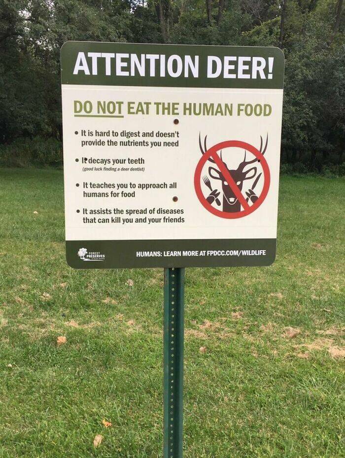 Okay, These Signs Are Pretty Good!