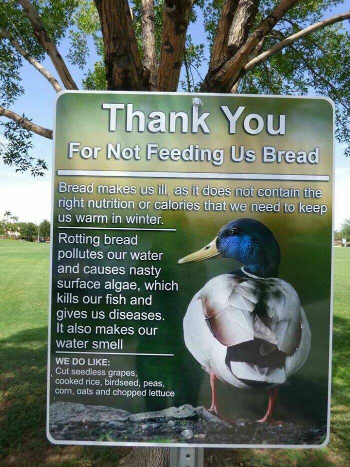 Okay, These Signs Are Pretty Good!