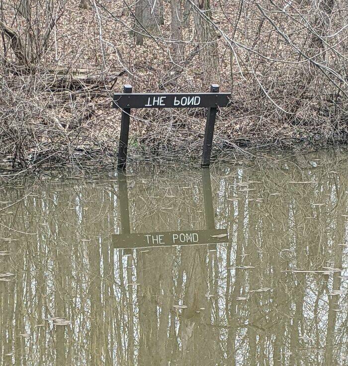 Okay, These Signs Are Pretty Good!