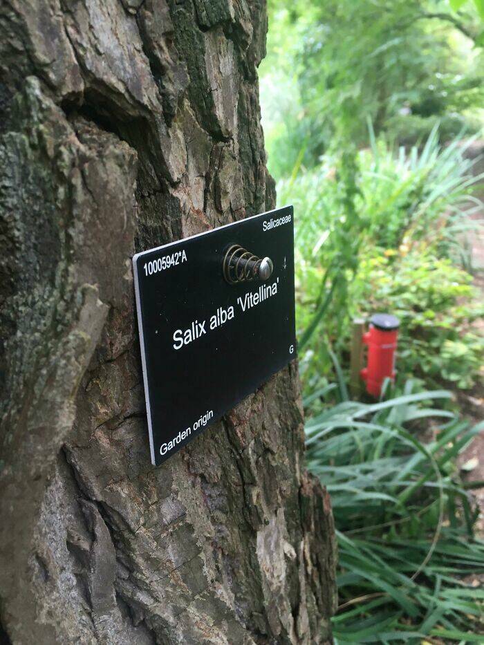 Okay, These Signs Are Pretty Good!