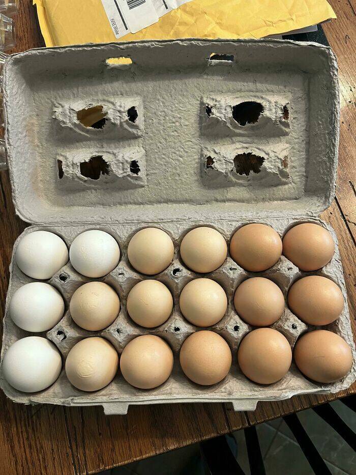 Perfectly Organized!