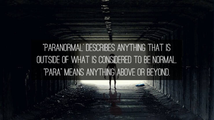 Normal Facts About Paranormal Things