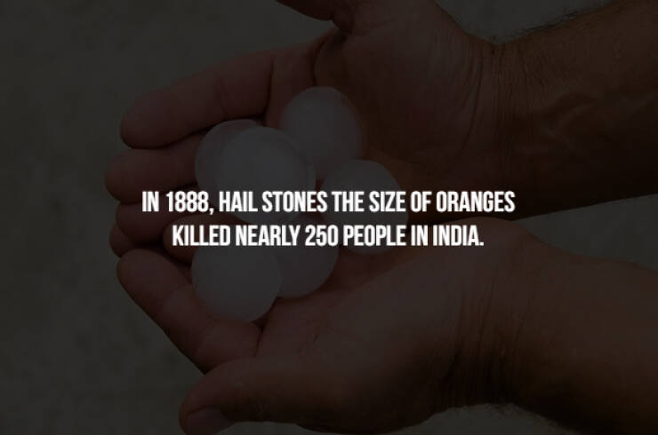 These Facts Are Awfully Creepy!