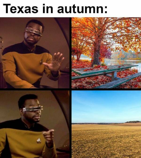 Just Texas Things…