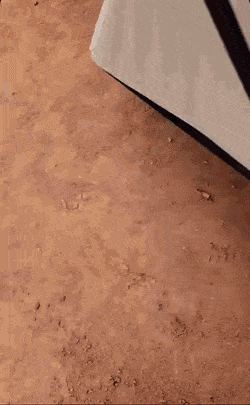 Daily Gifdump Daily Gifdump