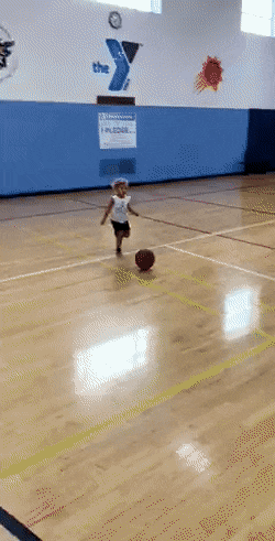 Daily Gifdump Daily Gifdump