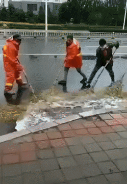 Daily Gifdump Daily Gifdump