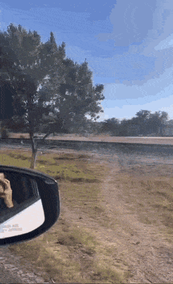 Daily Gifdump Daily Gifdump