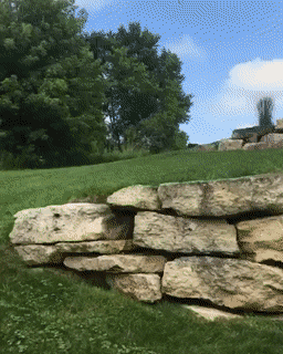 Daily Gifdump Daily Gifdump