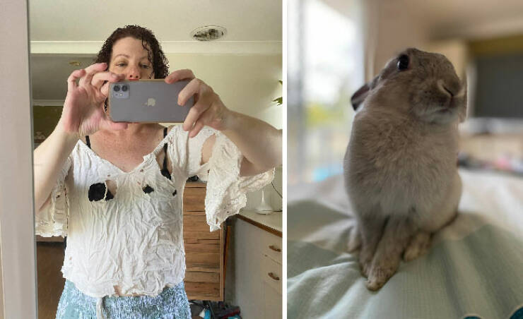 Bunnies Are Not As Innocent As They Look…