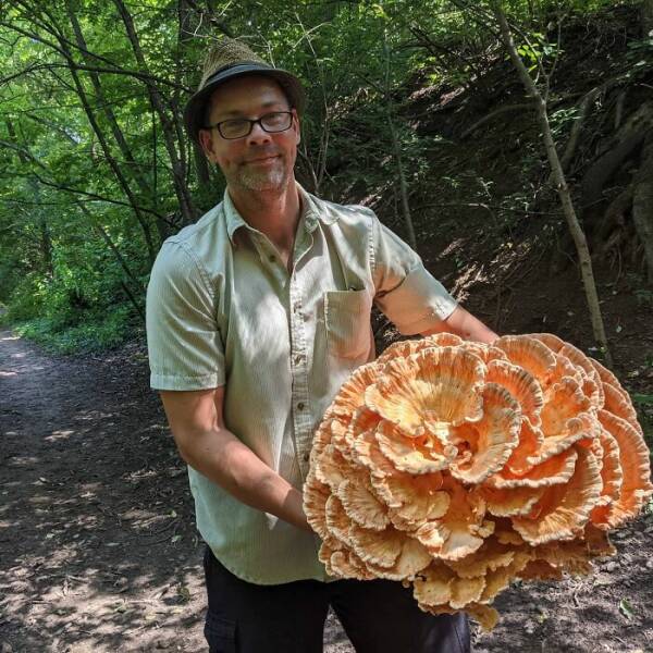 People Share Cool Things They Found While Foraging