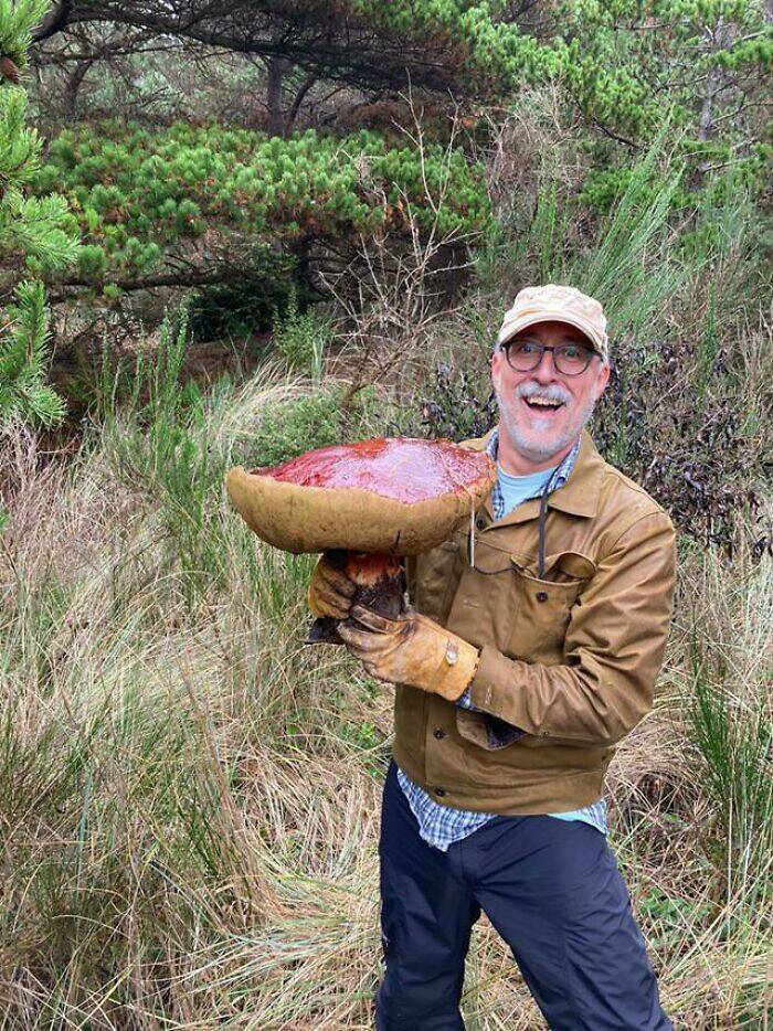 People Share Cool Things They Found While Foraging