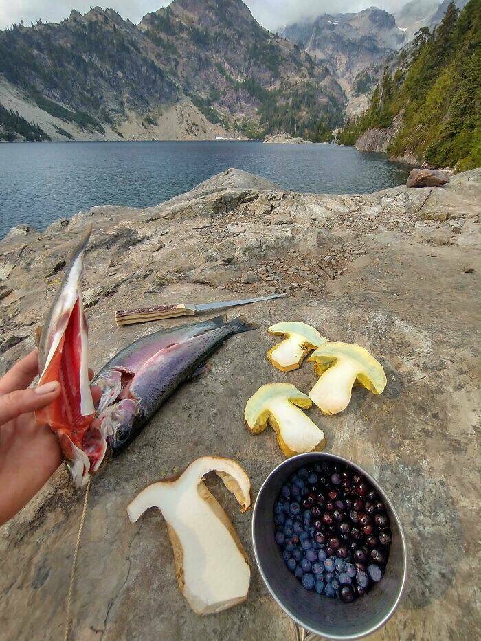 People Share Cool Things They Found While Foraging