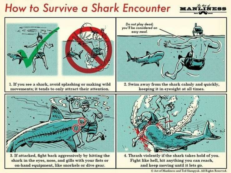 These Are Some Useful Survival Tips!