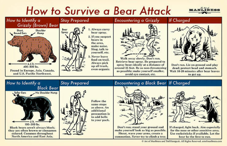 These Are Some Useful Survival Tips!