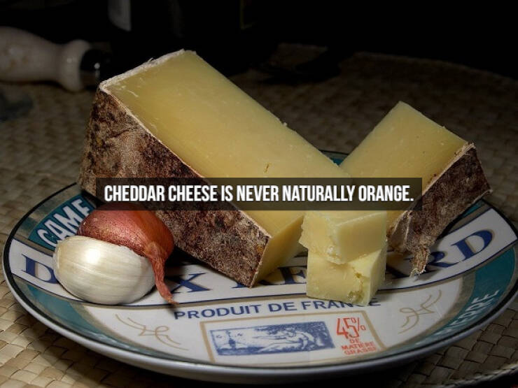 Who Doesn’t Like Cheese Facts?!