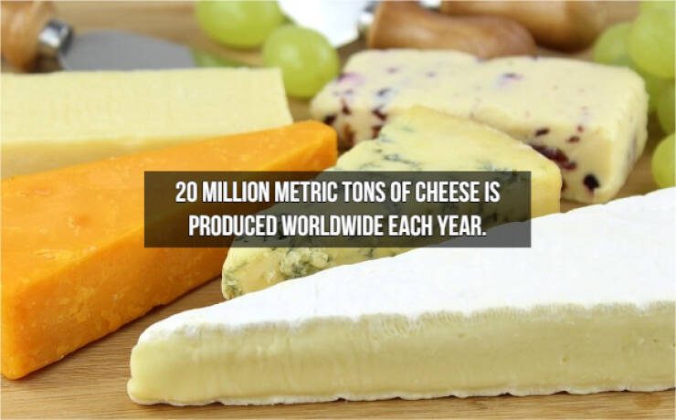 Who Doesn’t Like Cheese Facts?!