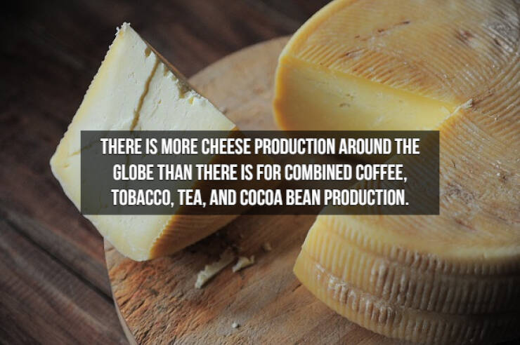 Who Doesn’t Like Cheese Facts?!