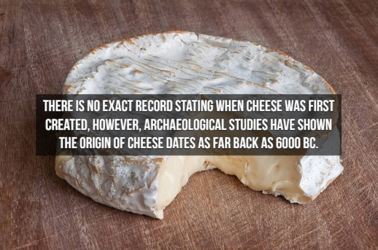 Who Doesn’t Like Cheese Facts?!