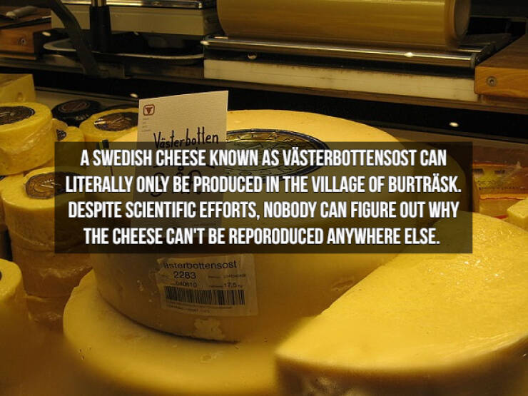 Who Doesn’t Like Cheese Facts?!