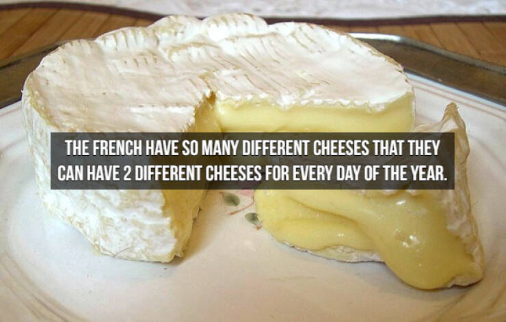 Who Doesn’t Like Cheese Facts?!