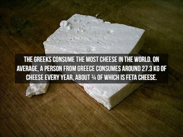 Who Doesn’t Like Cheese Facts?!