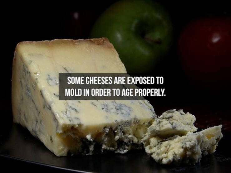 Who Doesn’t Like Cheese Facts?!