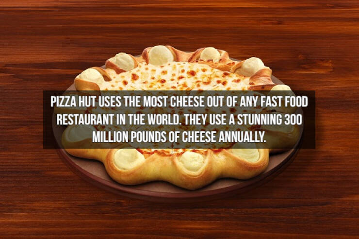 Who Doesn’t Like Cheese Facts?!