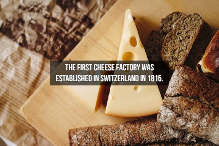 Who Doesn’t Like Cheese Facts?!