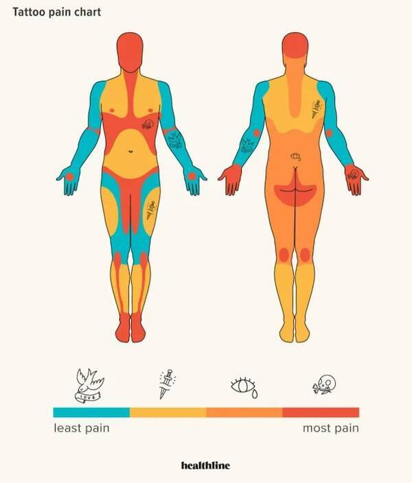 Random Charts Full Of Random Knowledge