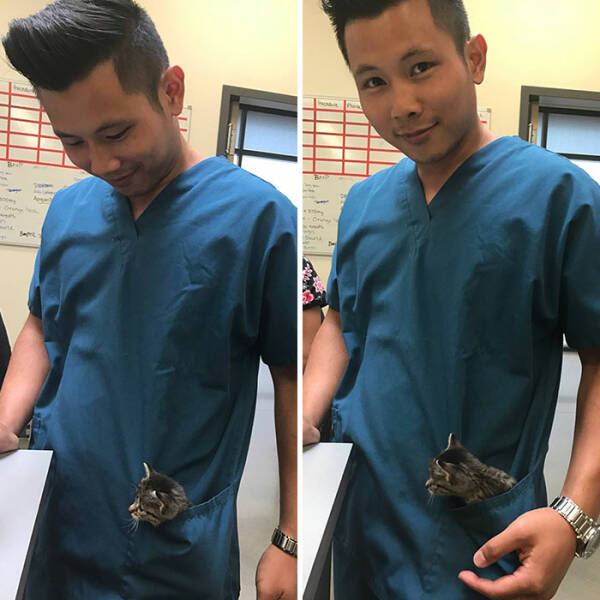 Veterinarians Share Their Wholesome Work Moments