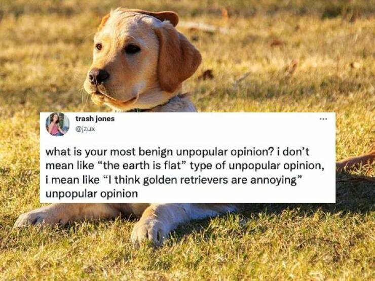 What’s Your Most Benign Unpopular Opinion?