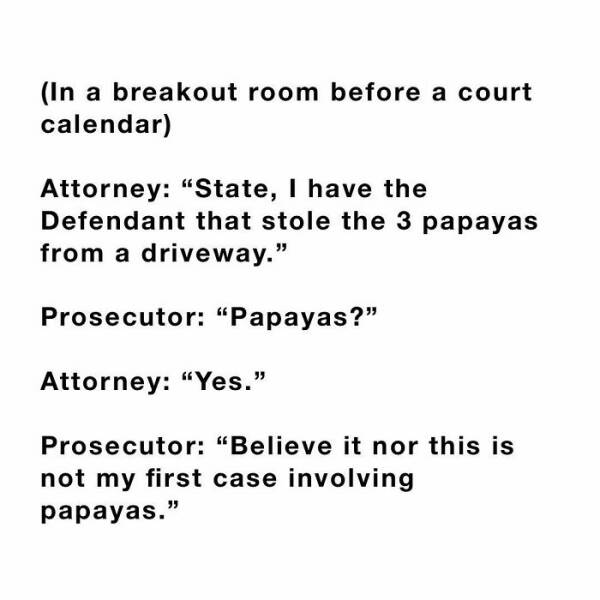 Funniest Stuff People Overheard In Courthouses